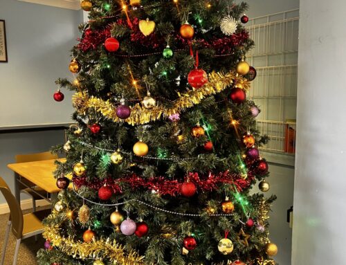 Christmas preparations at THOMAS