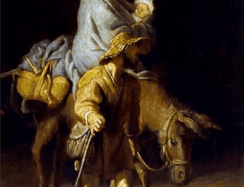 End of 2025 Christmas letter